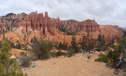 Fairyland loop  trail Bryce Canyon