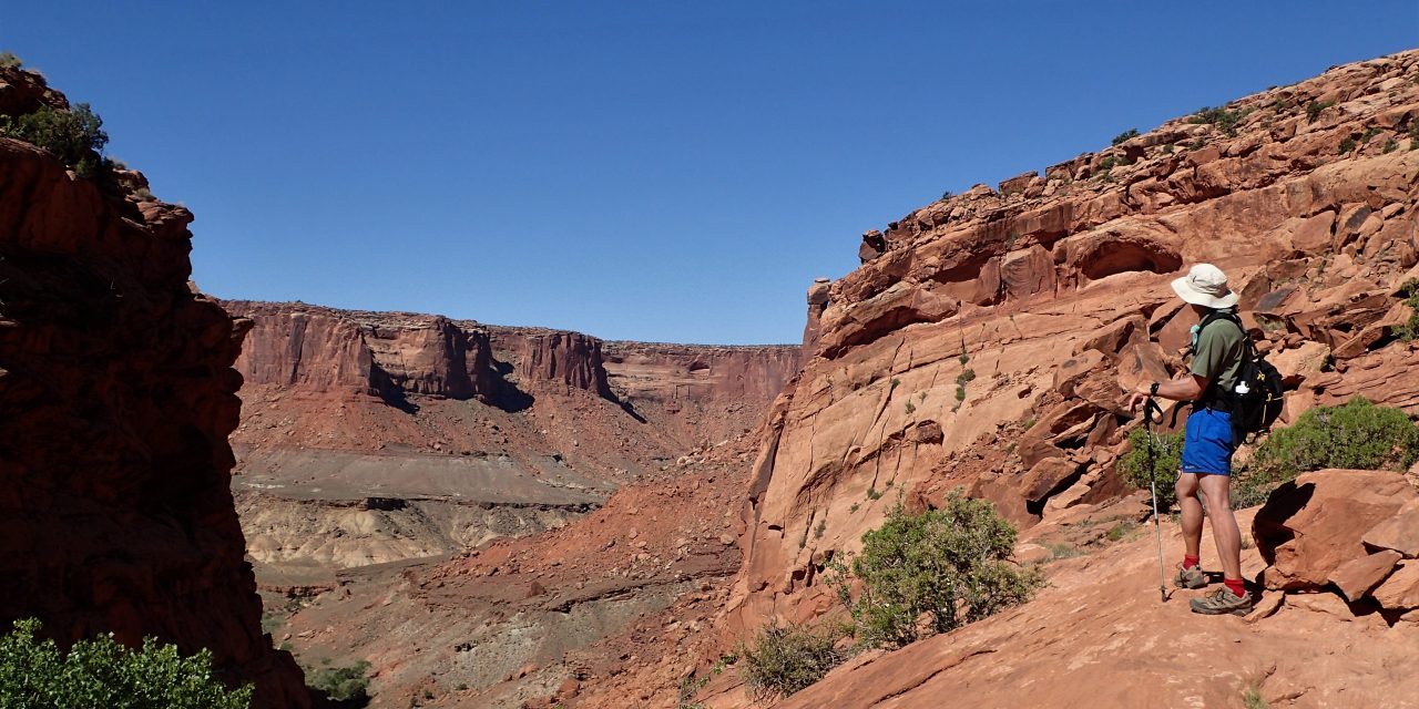 Upheaval Dome Syncline trail