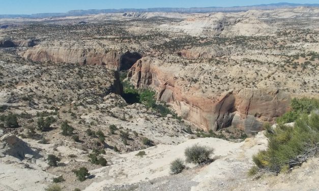 Devils Backbone Scenic Drive