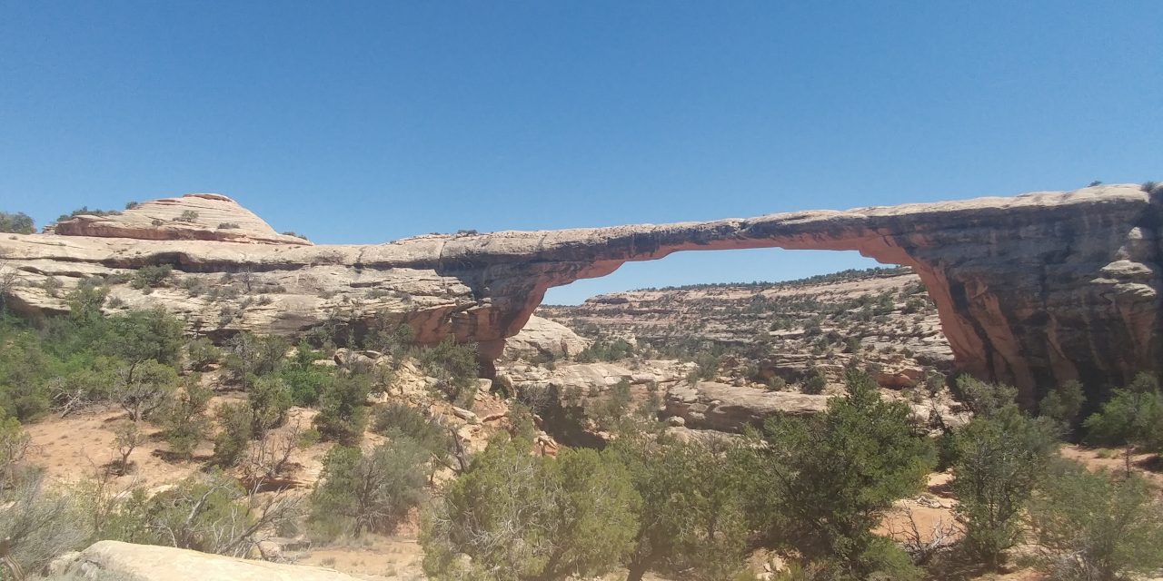 Natural Bridges Monument