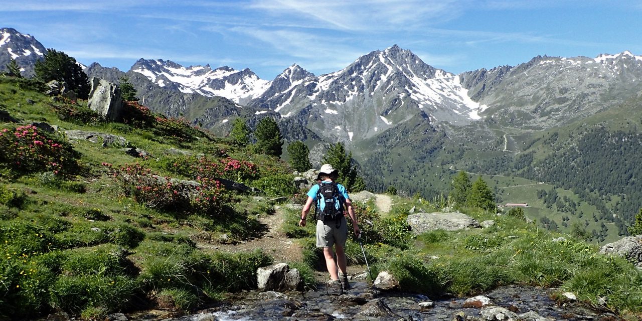 Bisse de Chevré – Valais