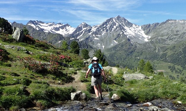 Bisse de Chevré – Valais