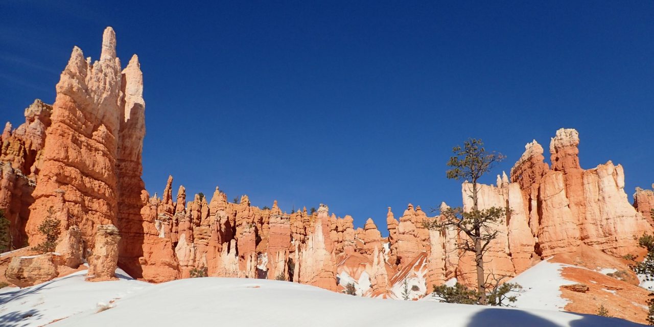 Bryce – Sunset Point Loop hike