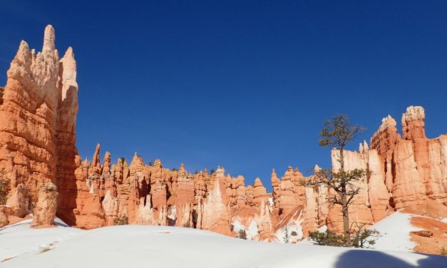 Bryce – Sunset Point Loop hike