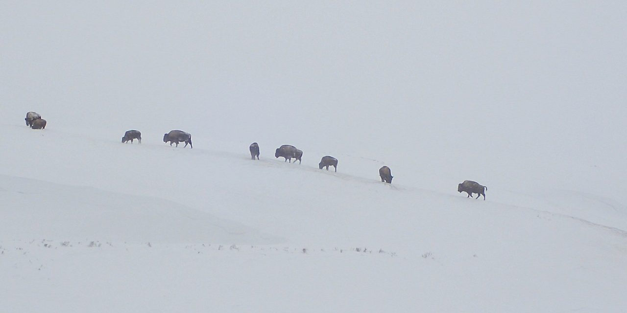 Day 3 – Crater Hills