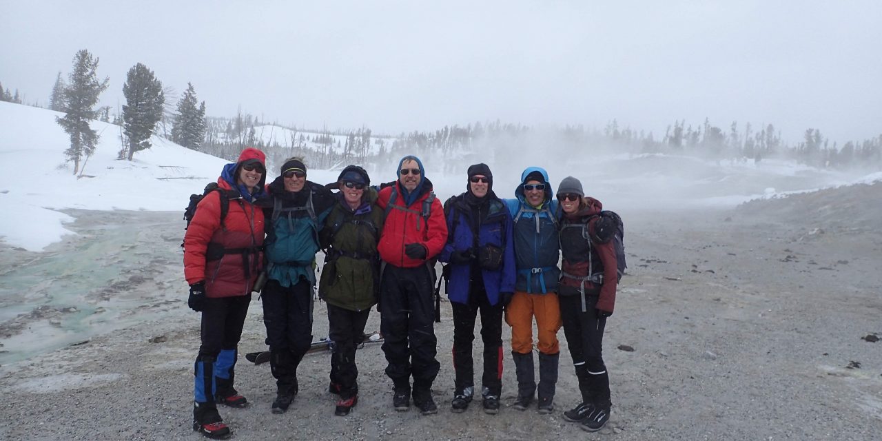 Day 7 – Violet Springs and Hayden Valley