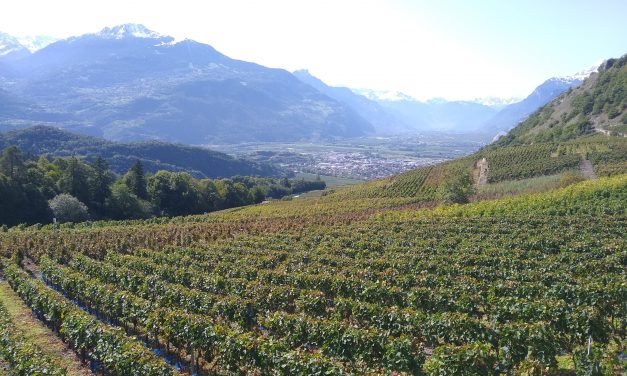 Bisse de Clavau – Valais