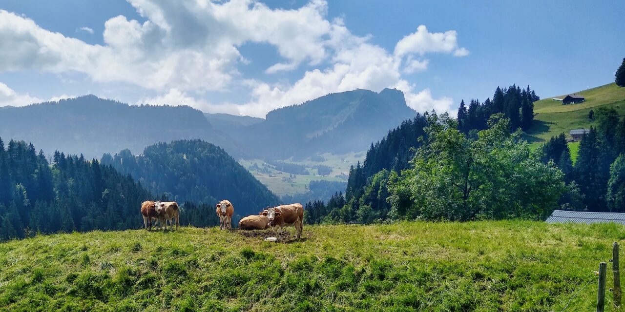 Col De Mosses – Bex to Saanen Cycle Tour Day 1