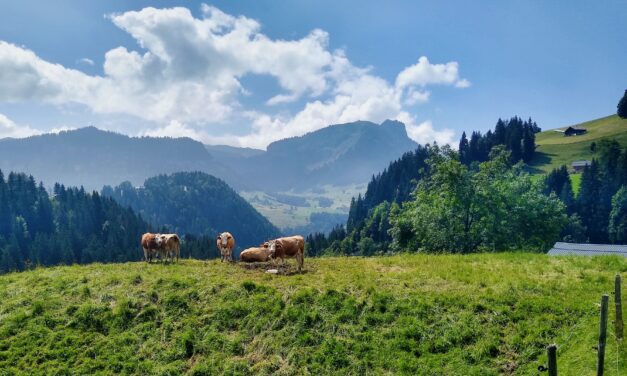 Col De Mosses – Bex to Saanen Cycle Tour Day 1