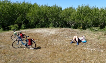 Dune Tour from Alkmar 12 May