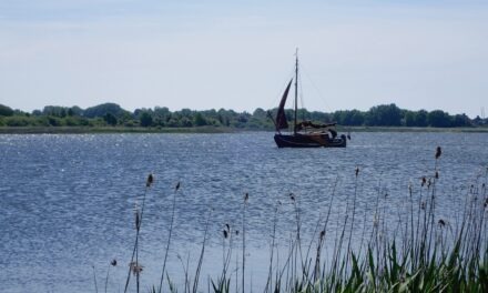 Cycling in Southwest Friesland 14 May