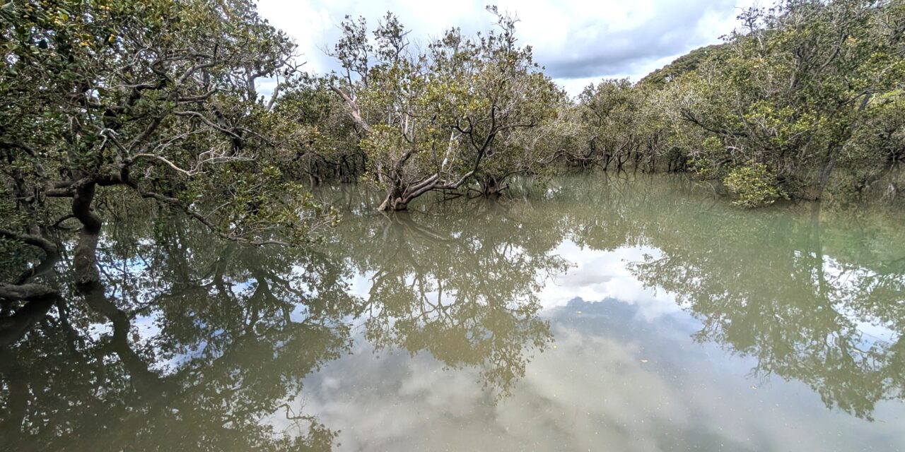 Walk from Waitangi Treaty Grounds towards Haruru