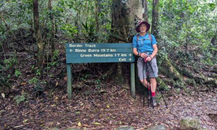 O’Reilly’s to Binna Burra – Border Trail