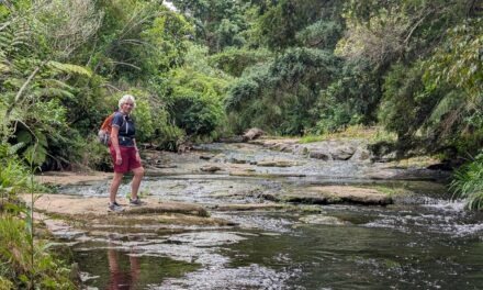 Wairere Waterfall from KeriKeri