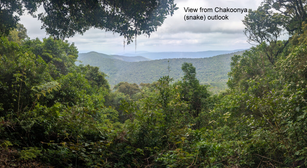 H Chakoonya outlook