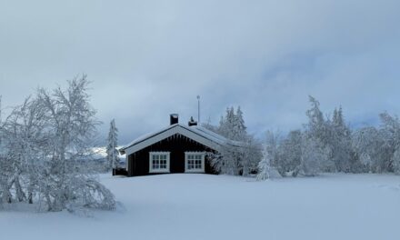 Kick turn practice and magical woodland ski